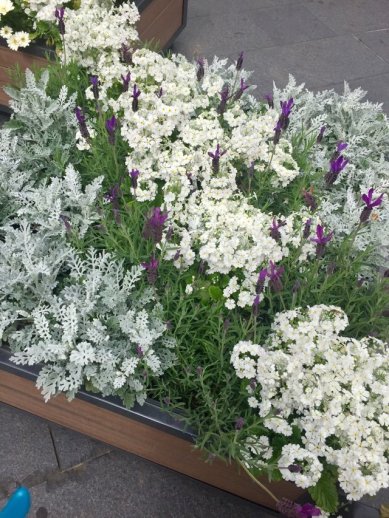 119864900_1021505174967848_1603437956964358894_n