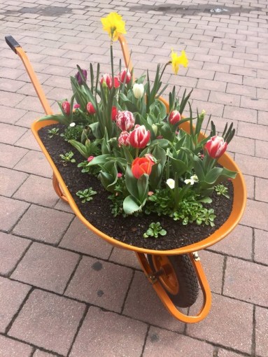 119937605_249482026345871_2823889810557803367_n