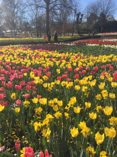 15EEB7C5-42F6-4927-BA62-2830A6D729CC_1_105_c